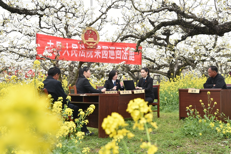 ④果品損壞糾紛案調(diào)解現(xiàn)場，法官對當(dāng)事人釋法析理。.jpg